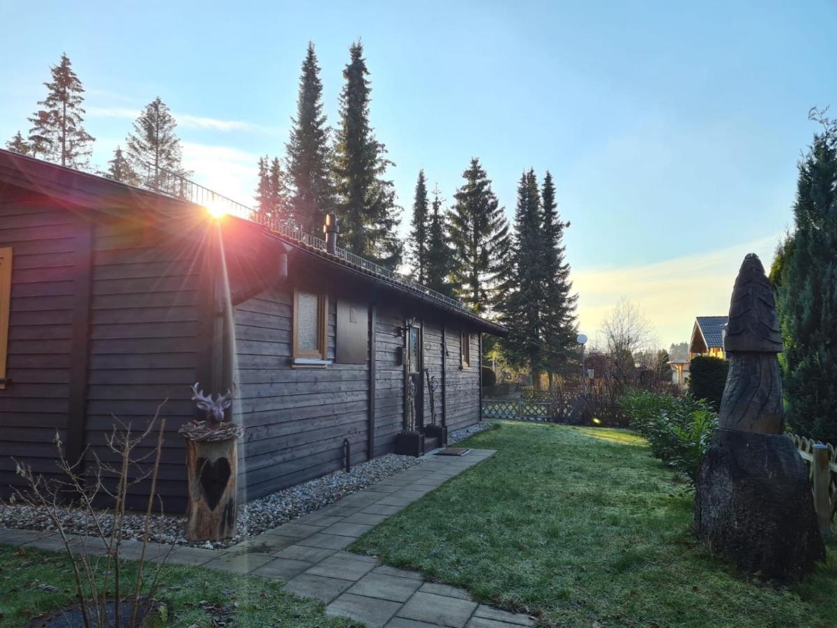 Huettenflair Am See Mit Kamin Clausthal-Zellerfeld Zewnętrze zdjęcie